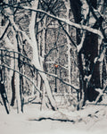 9871826