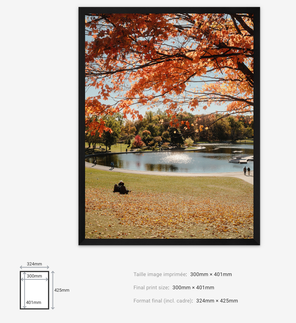 Autumn Dream — Limited Edition