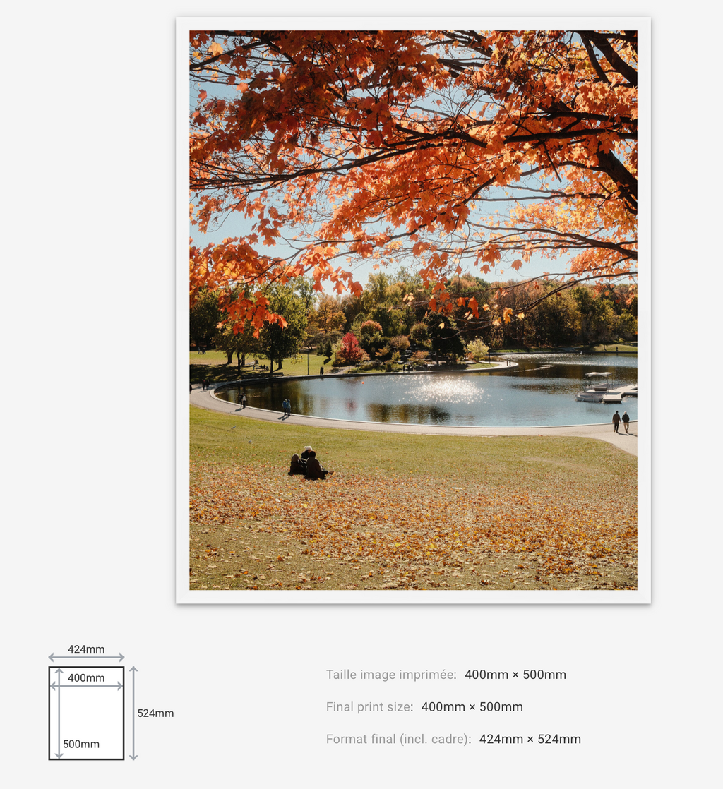 Autumn Dream — Limited Edition