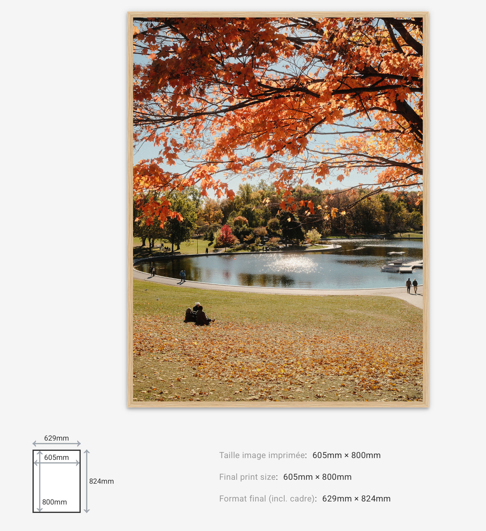 Autumn Dream — Limited Edition