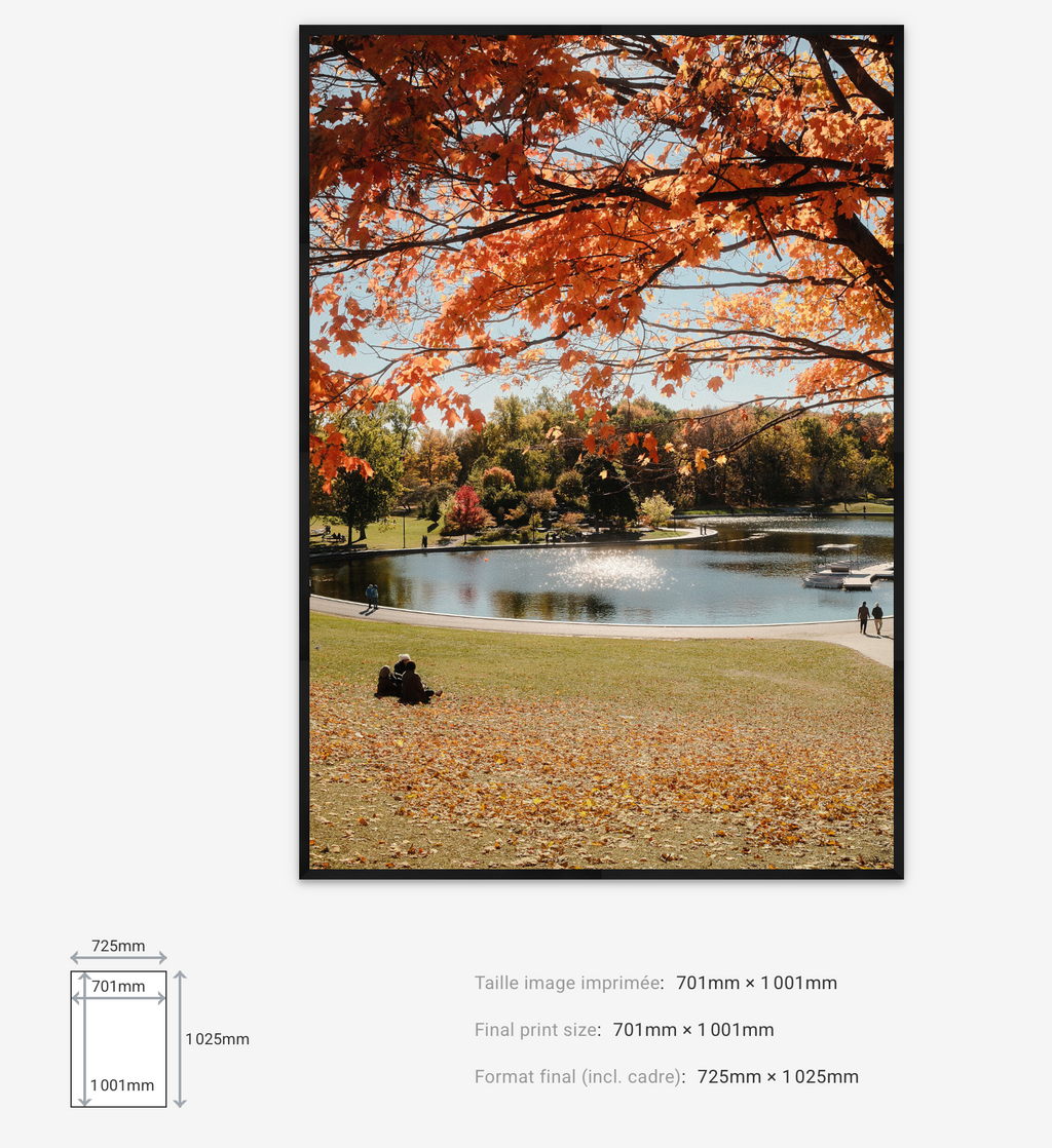 Autumn Dream — Limited Edition
