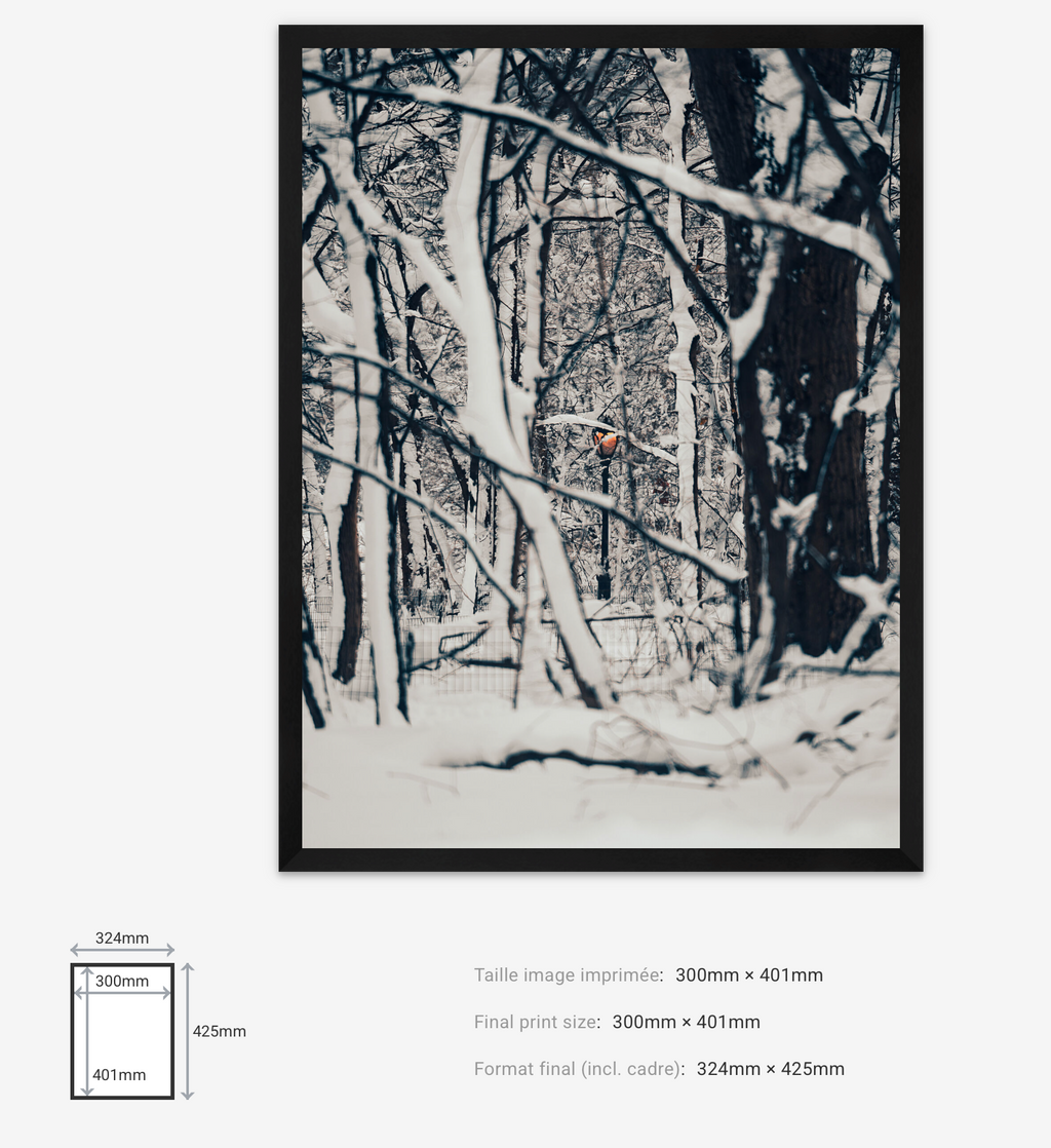 Light Through Despair — Limited Edition