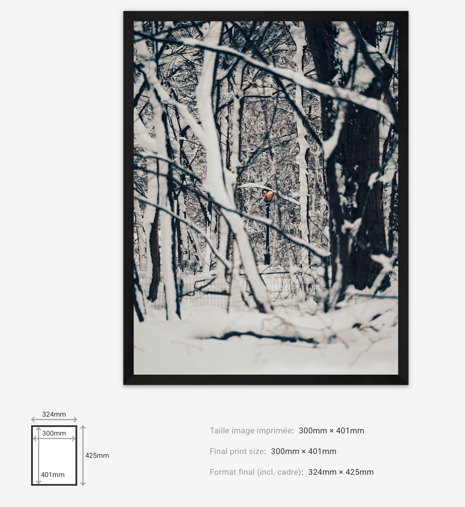 Light Through Despair — Limited Edition