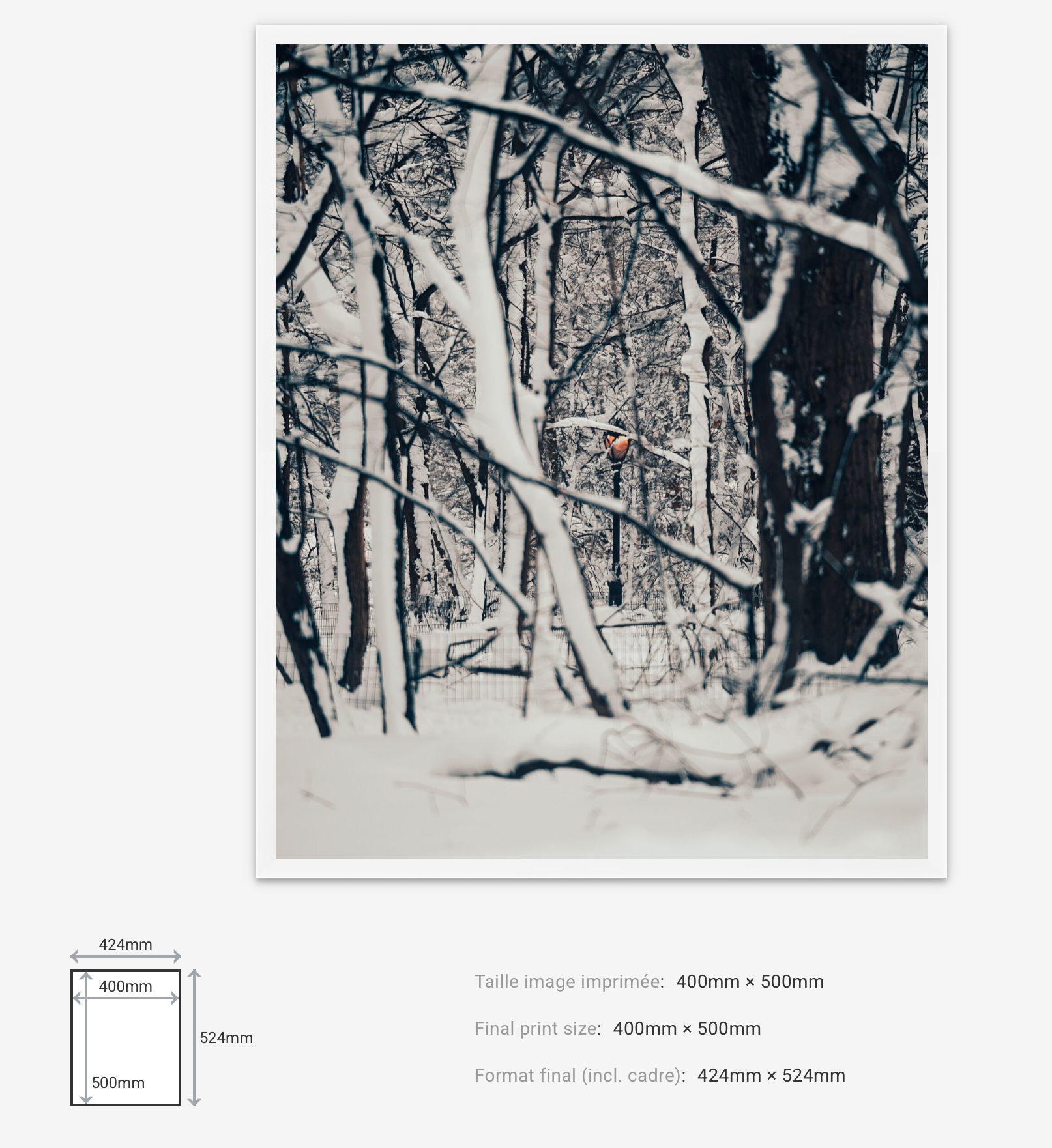 Light Through Despair — Limited Edition