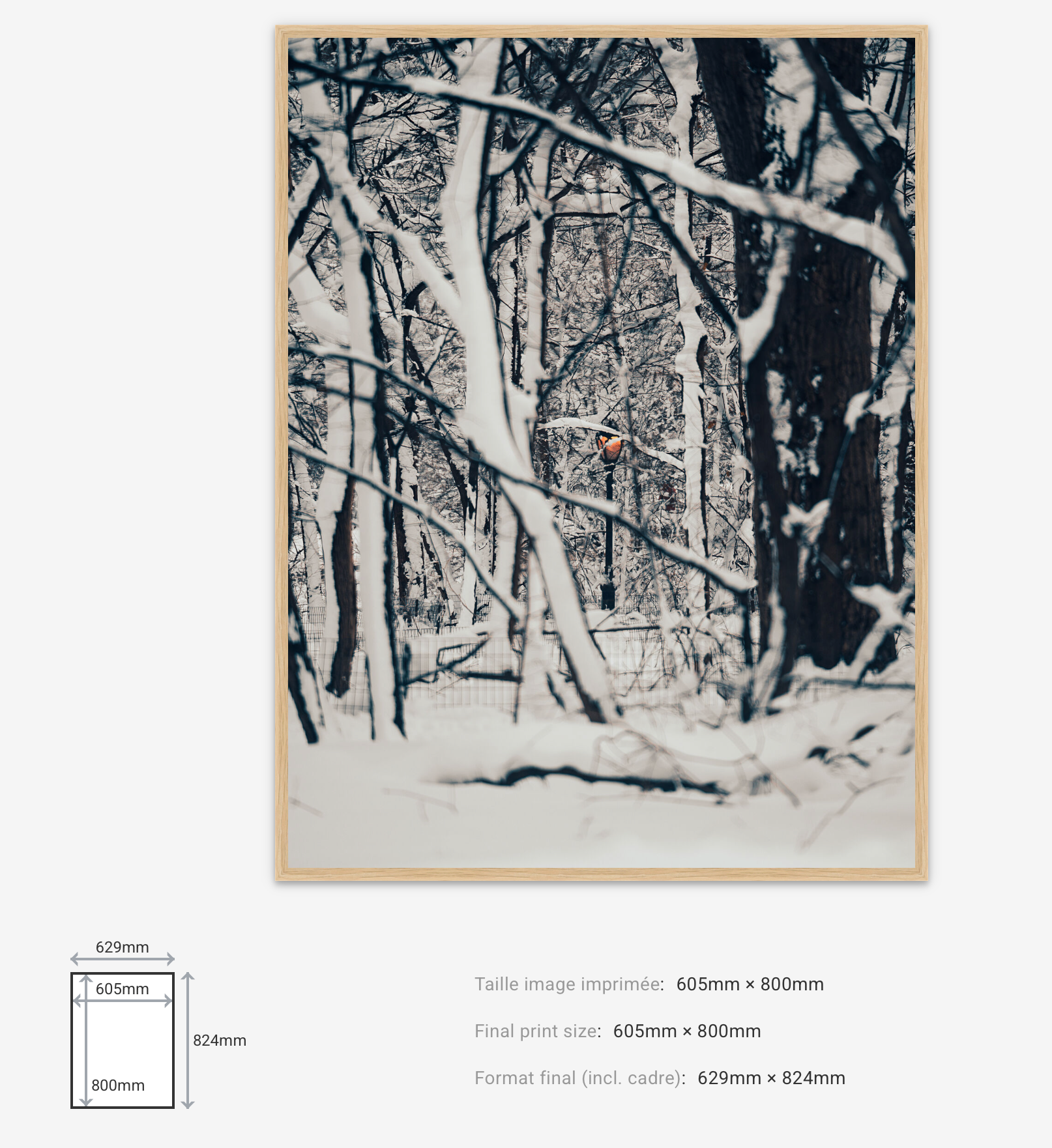Light Through Despair — Limited Edition