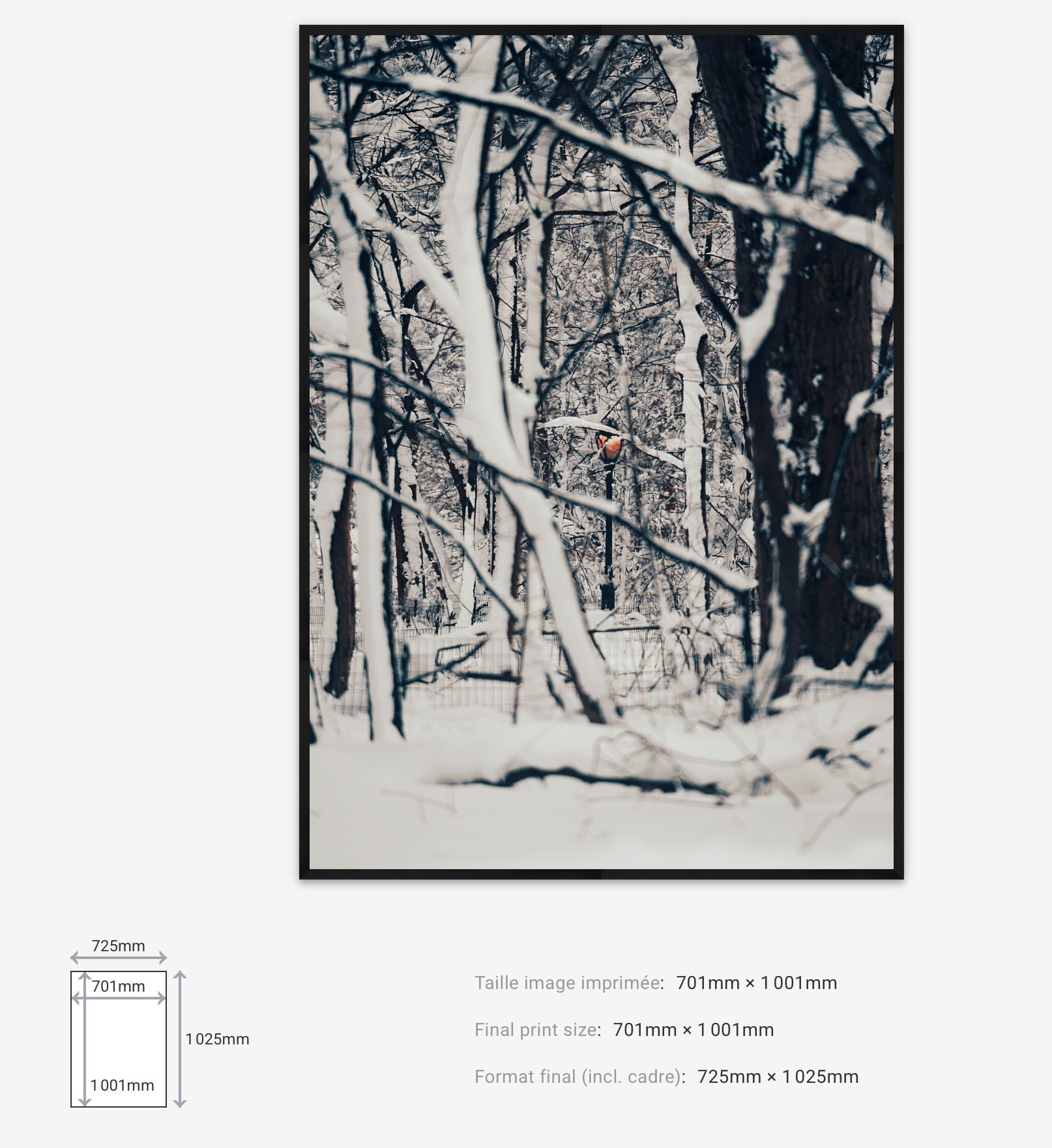 Light Through Despair — Limited Edition
