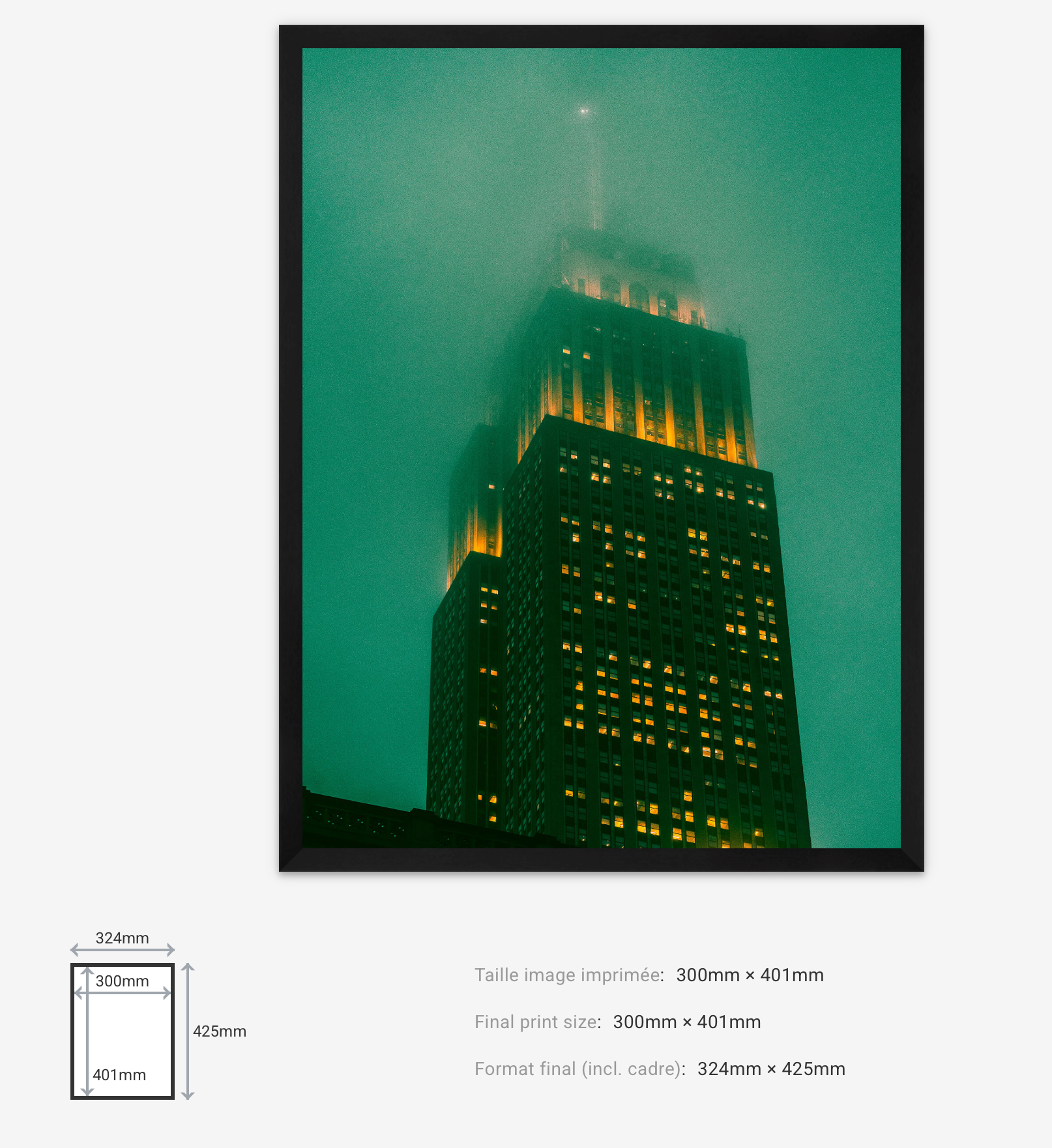 Dark Knight — Limited Edition