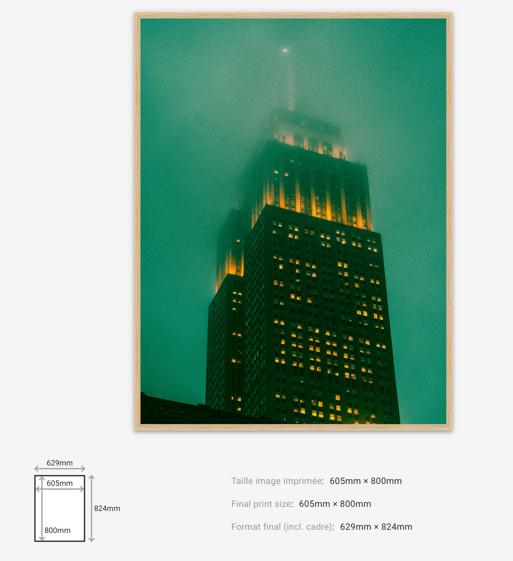 Dark Knight — Limited Edition