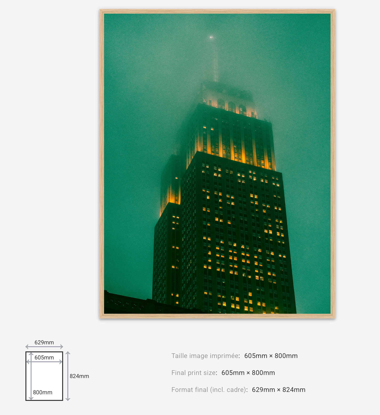 Dark Knight — Limited Edition