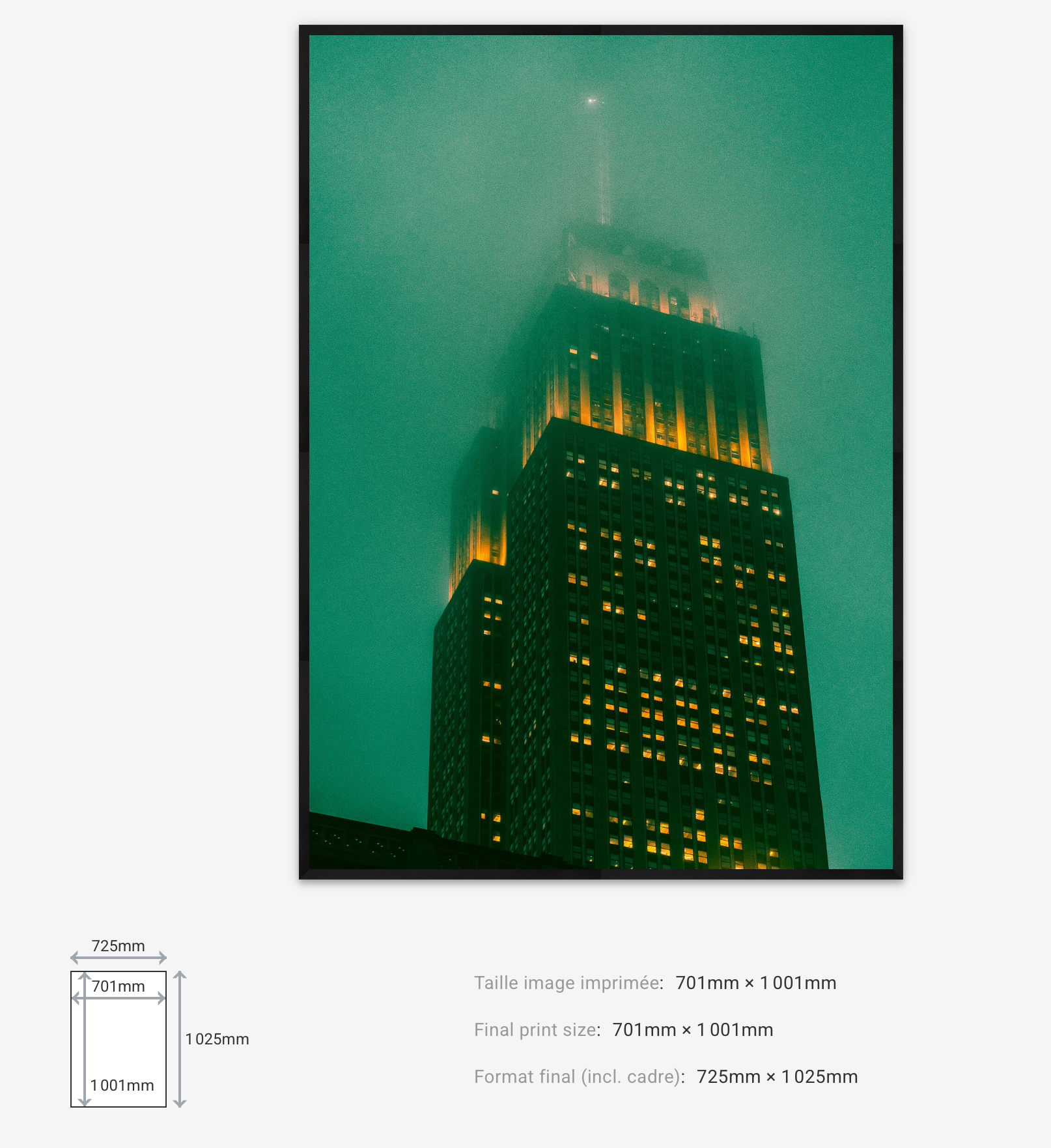 Dark Knight — Limited Edition