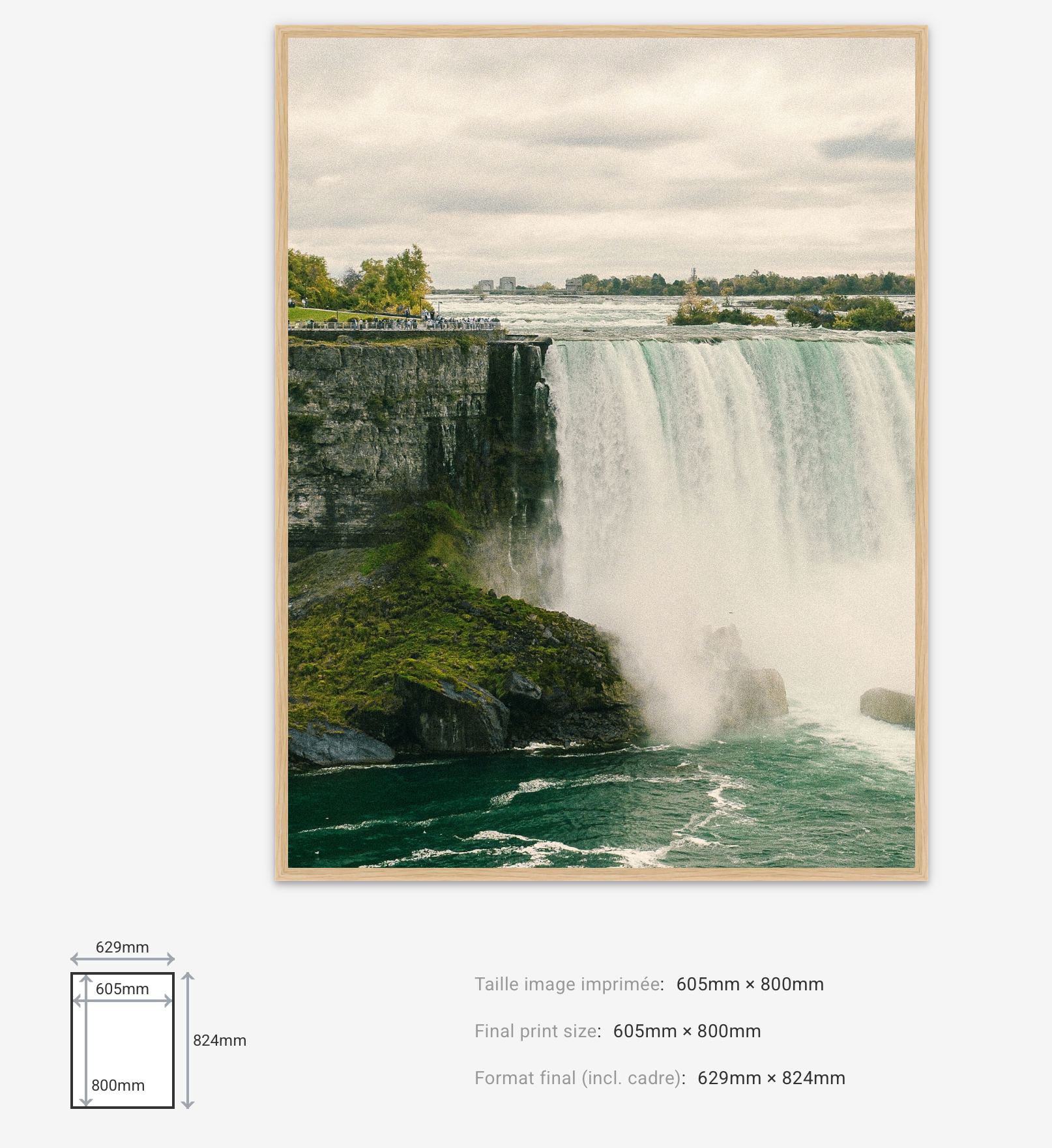 Last Falls — Limited Edition
