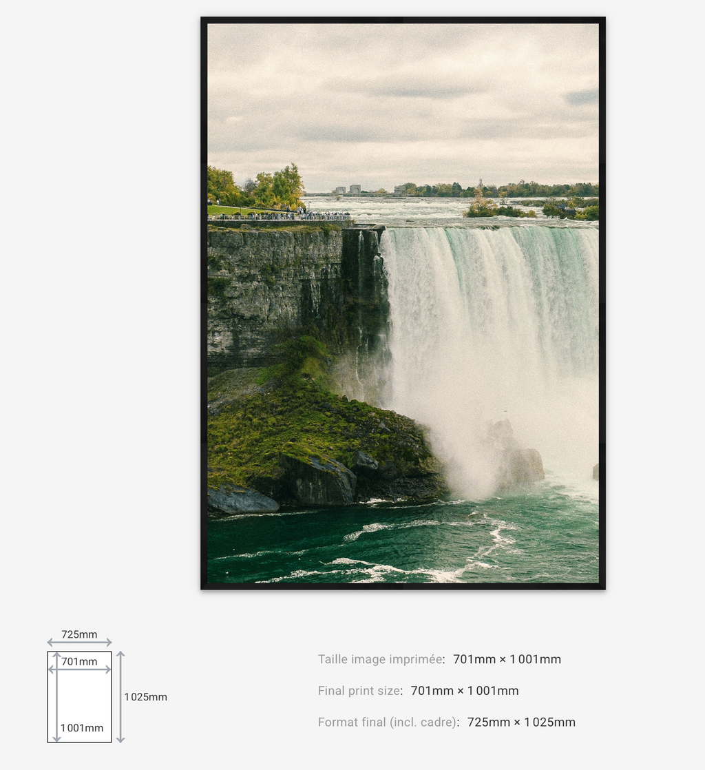 Last Falls — Limited Edition