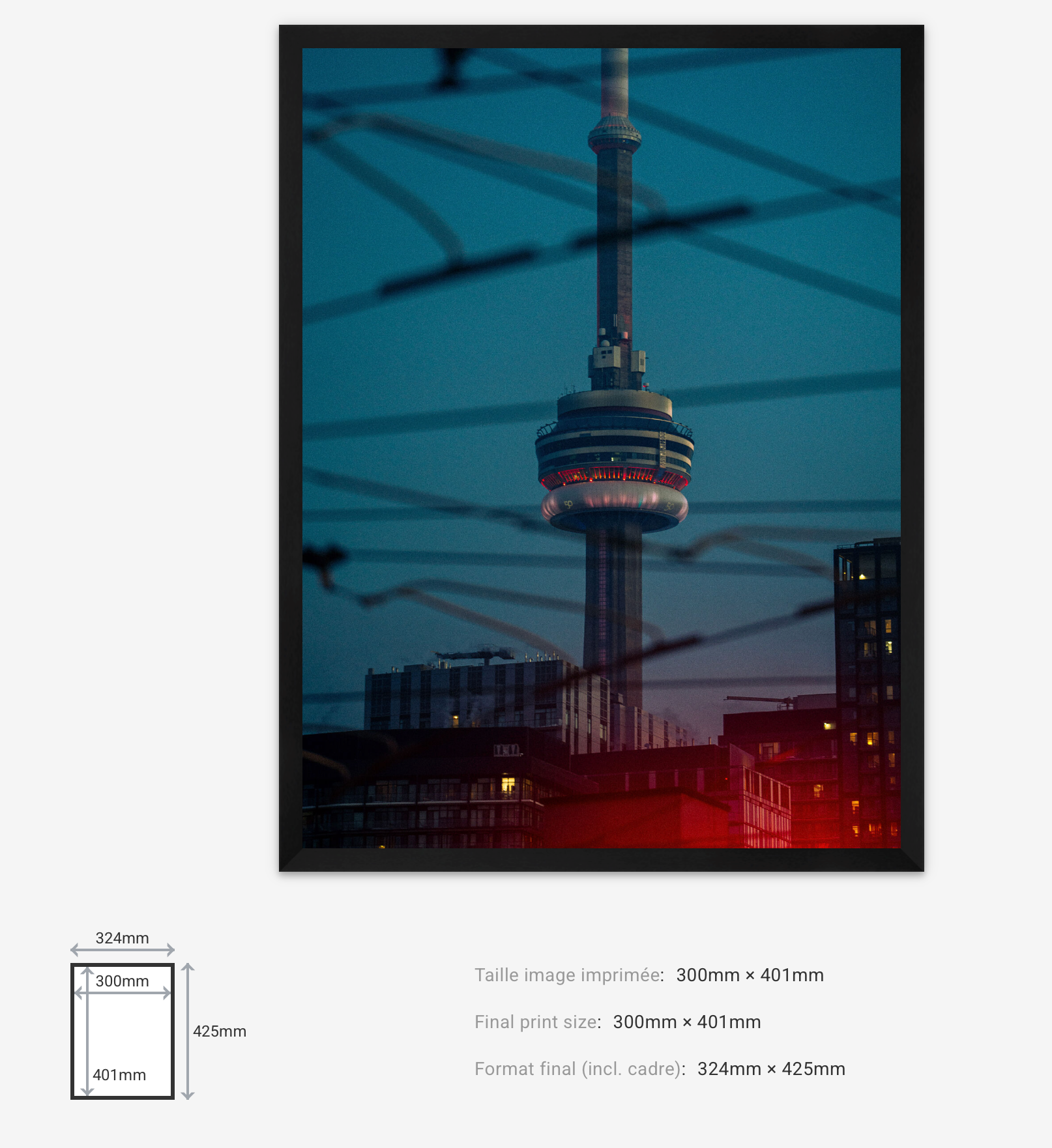 Urban Signal — Limited Edition