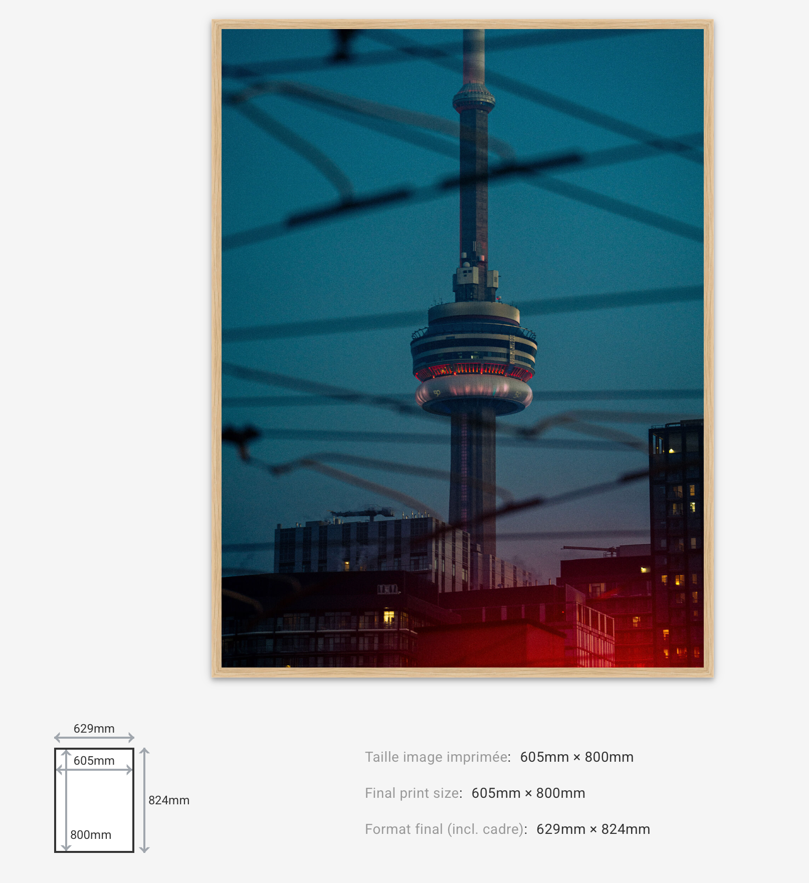 Urban Signal — Limited Edition
