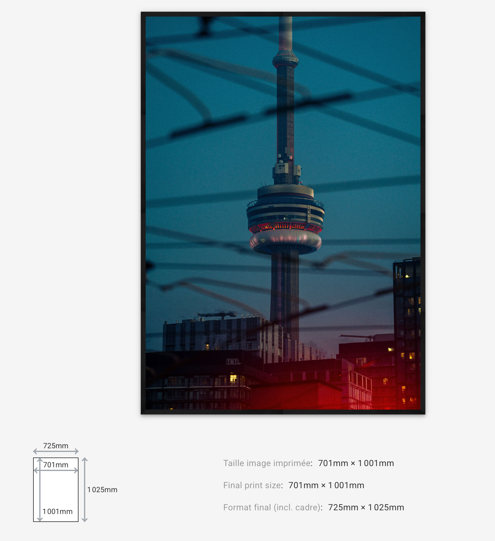 Urban Signal — Limited Edition