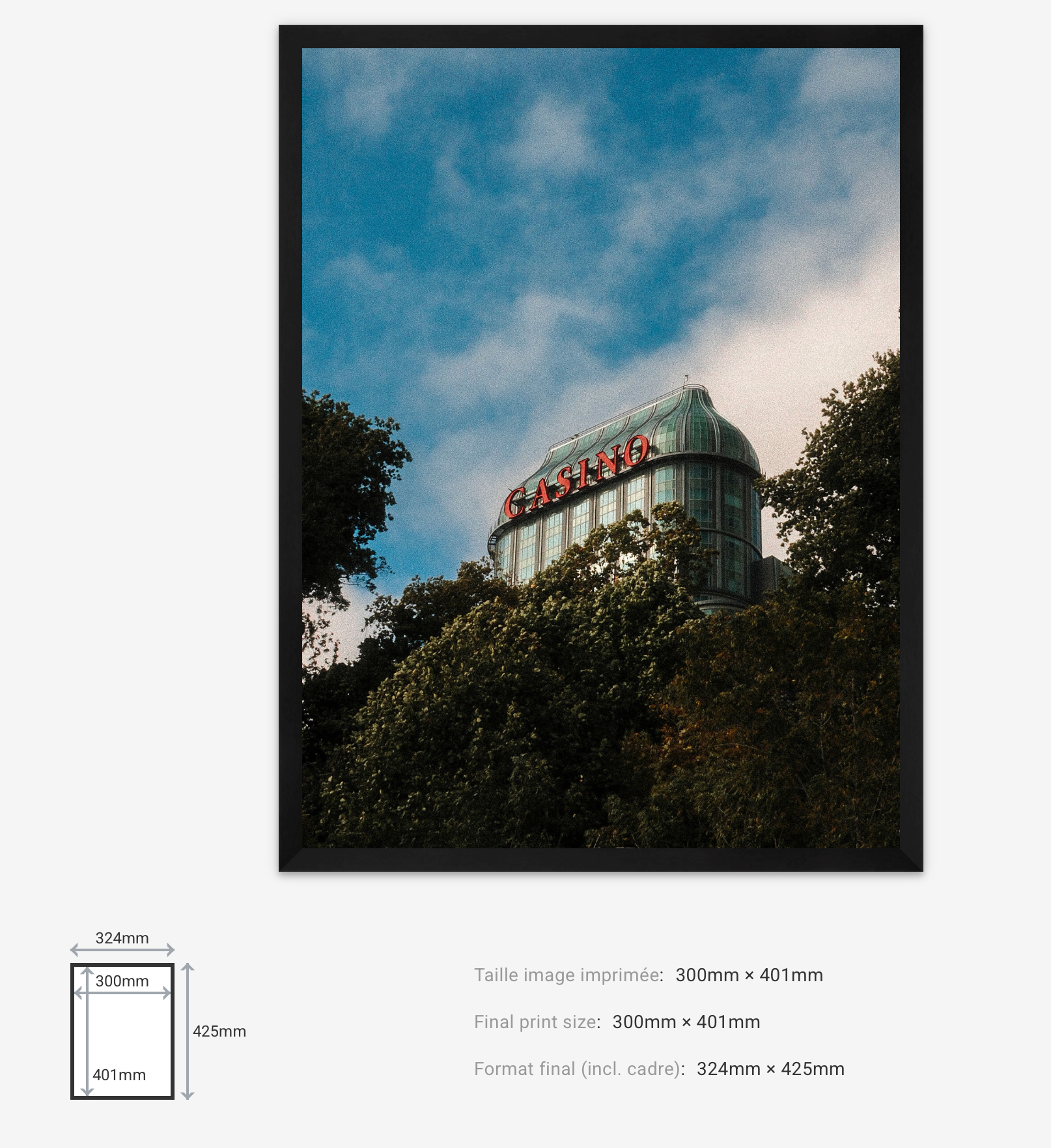 Hidden Casino — Limited Edition