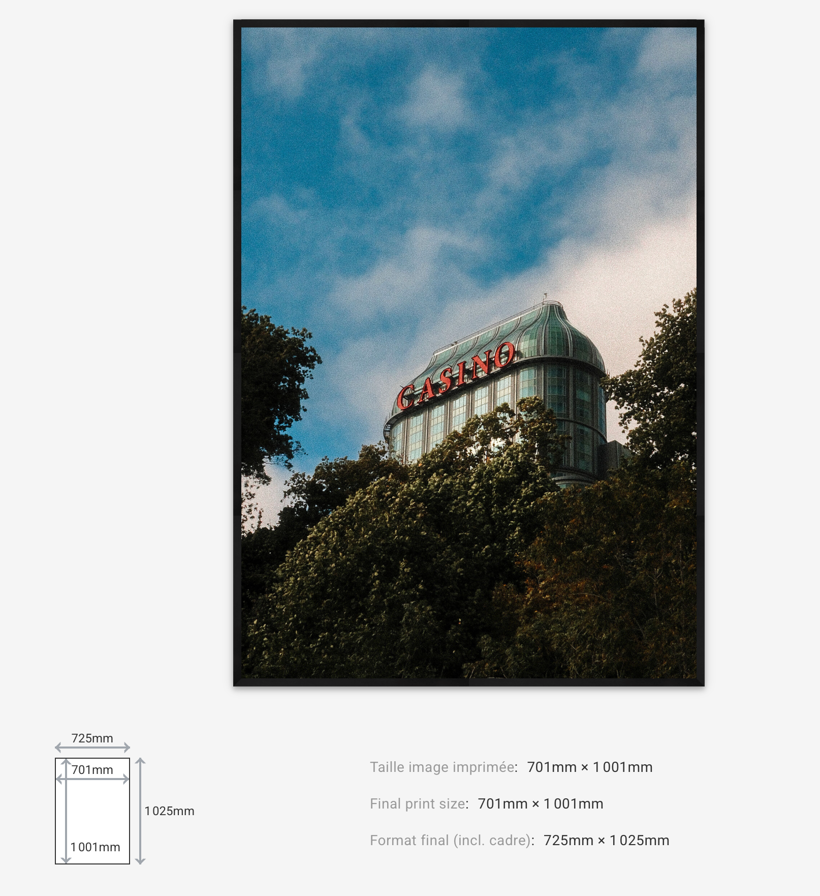Hidden Casino — Limited Edition