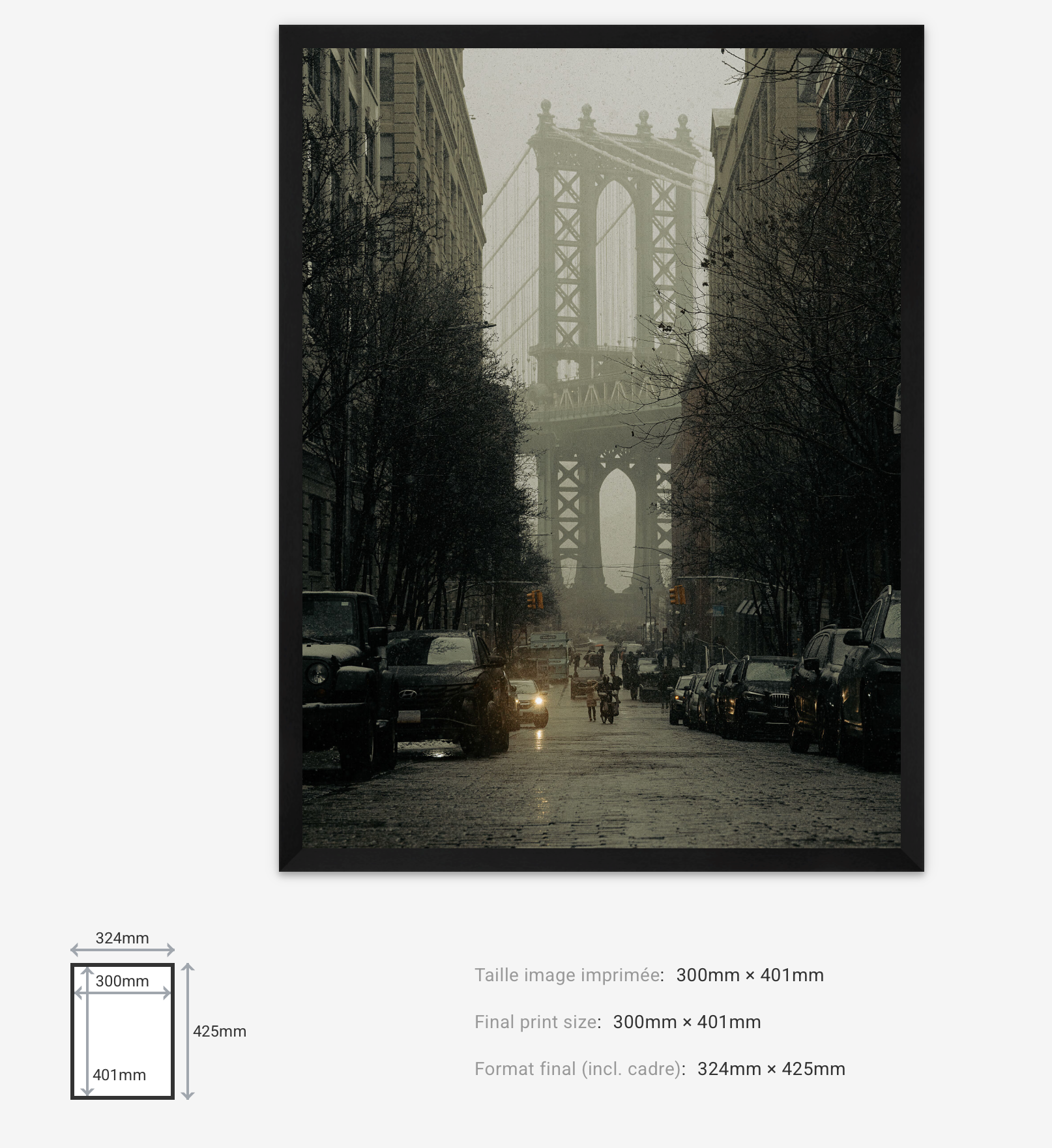 DUMBO Atmosphere — Limited Edition