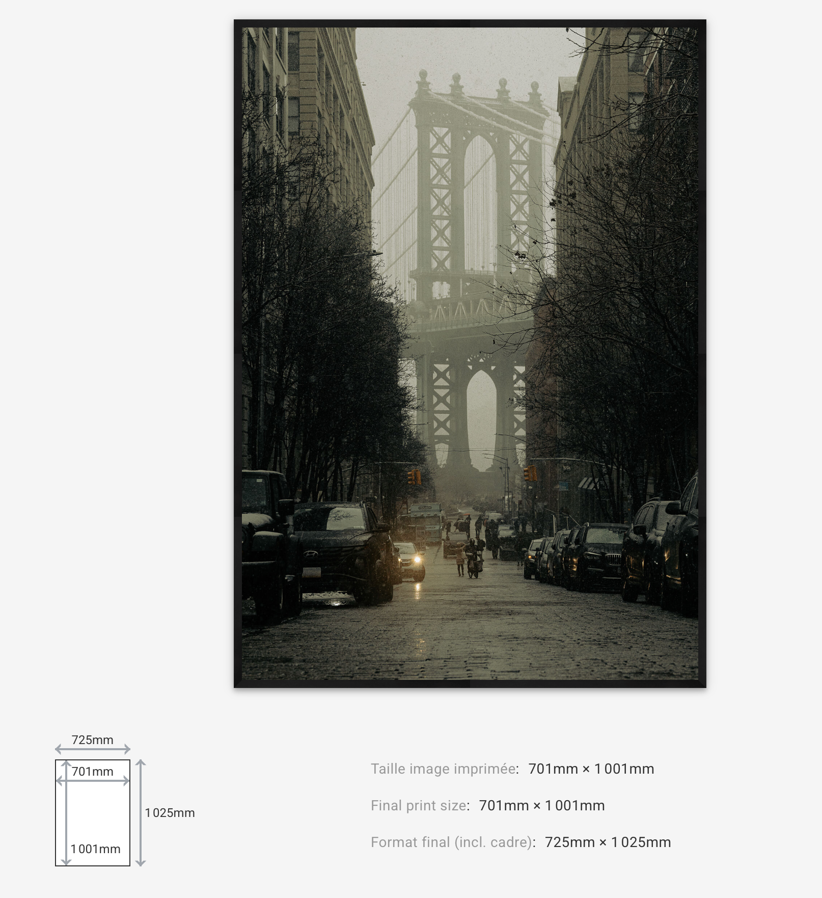 DUMBO Atmosphere — Limited Edition