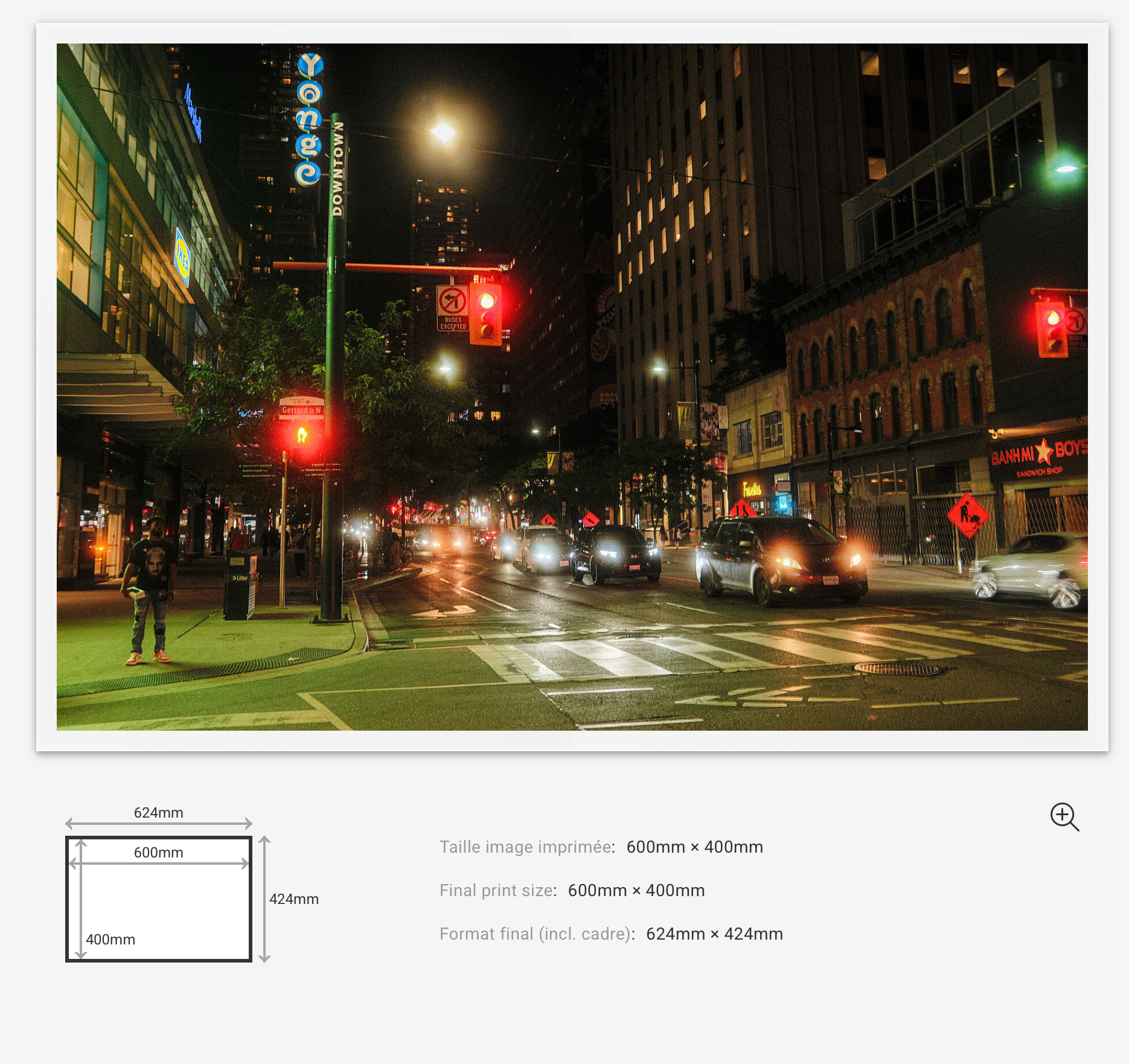 Midnight Signals — Limited Edition