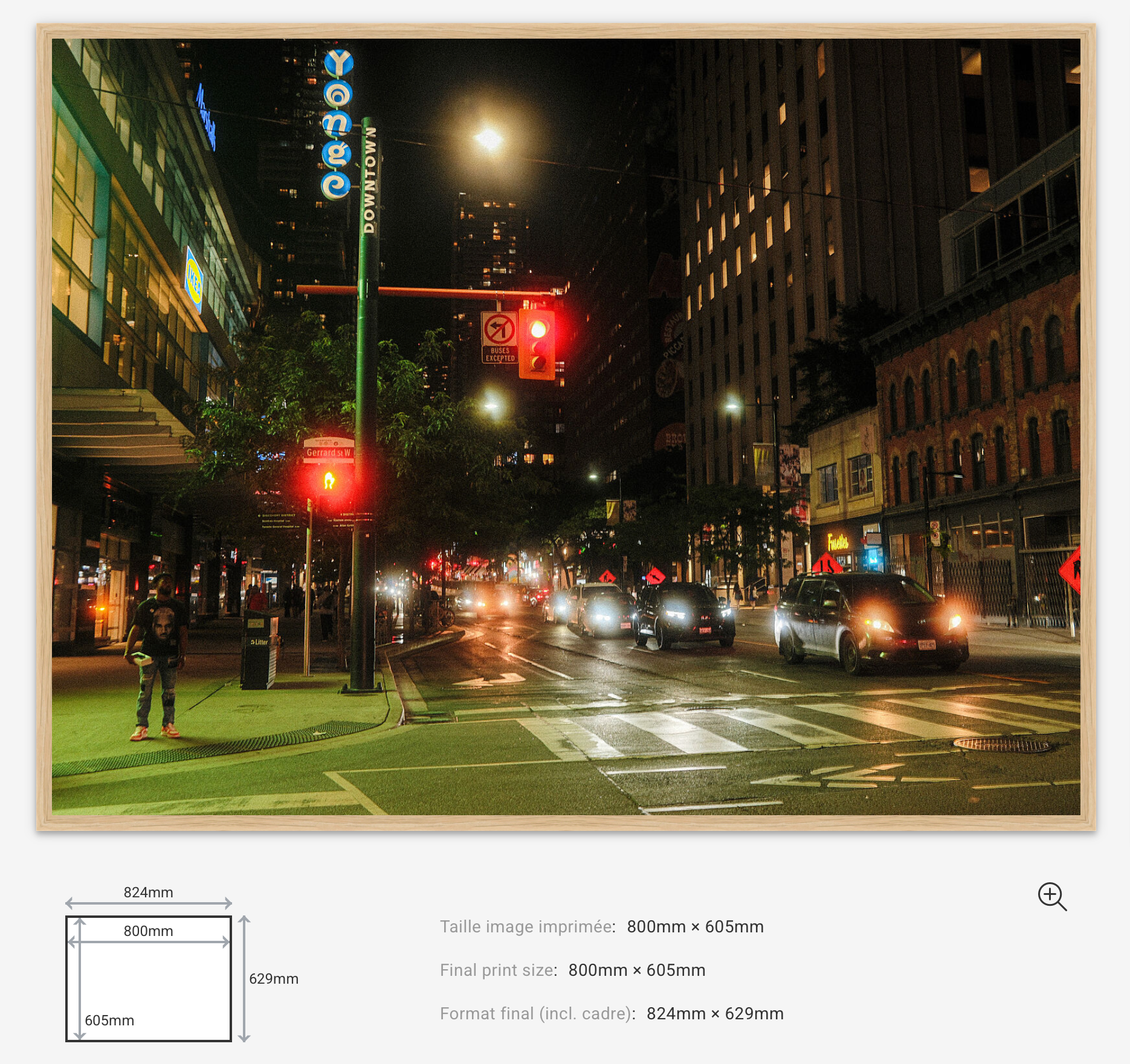 Midnight Signals — Limited Edition