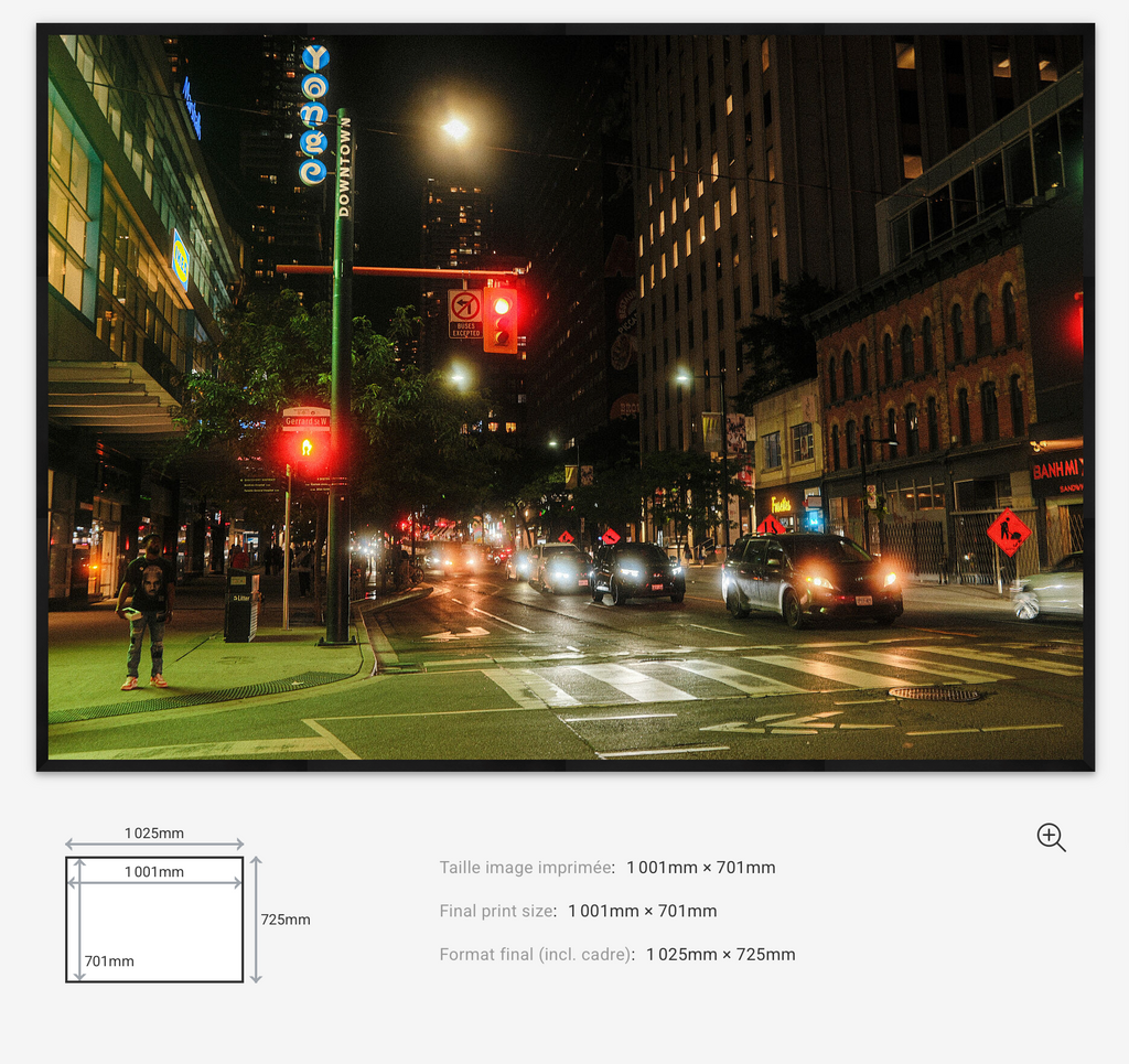 Midnight Signals — Limited Edition