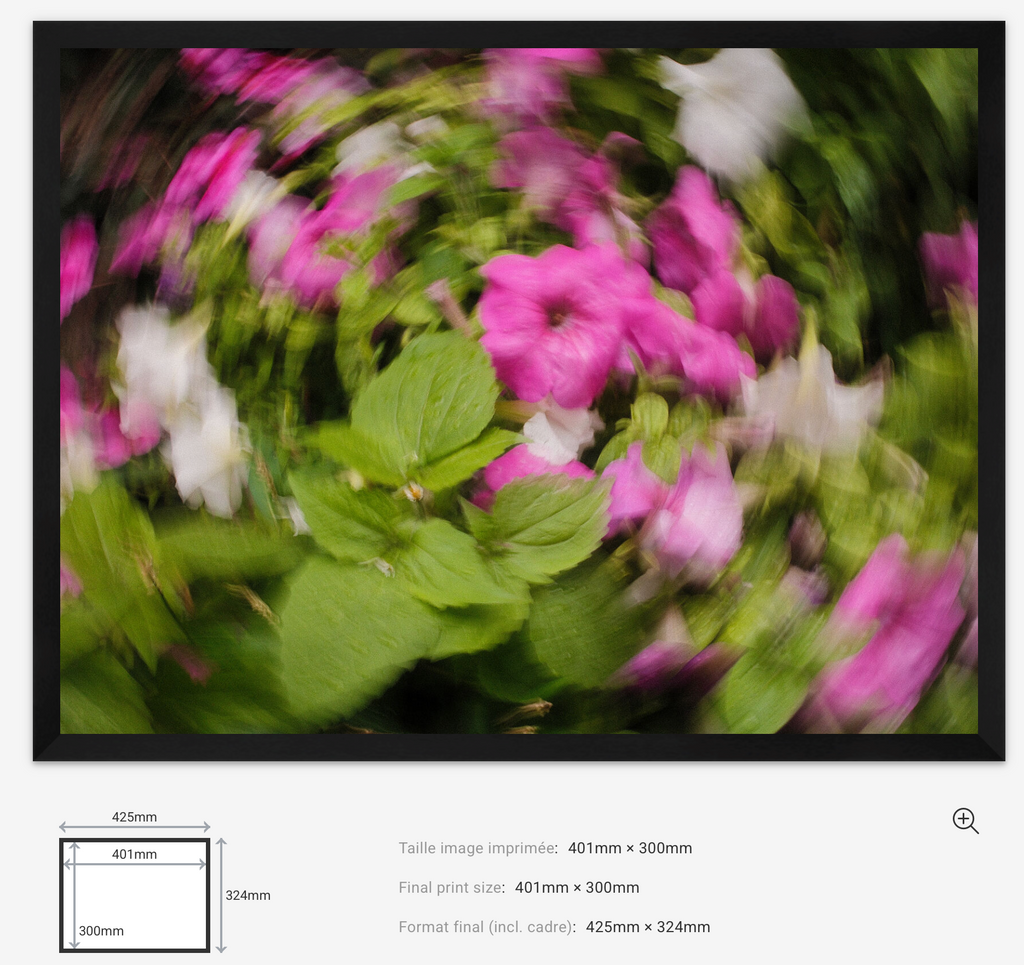 Floral Motion Limited Edition — 100VIsion