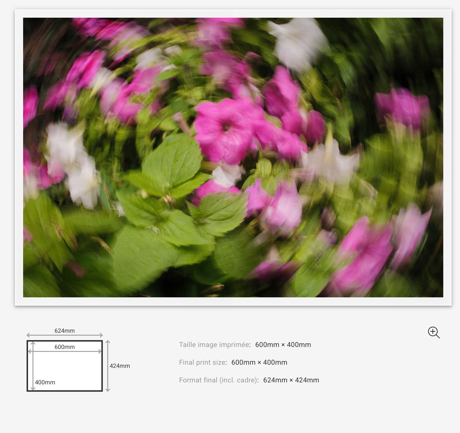Floral Motion Limited Edition — 100VIsion
