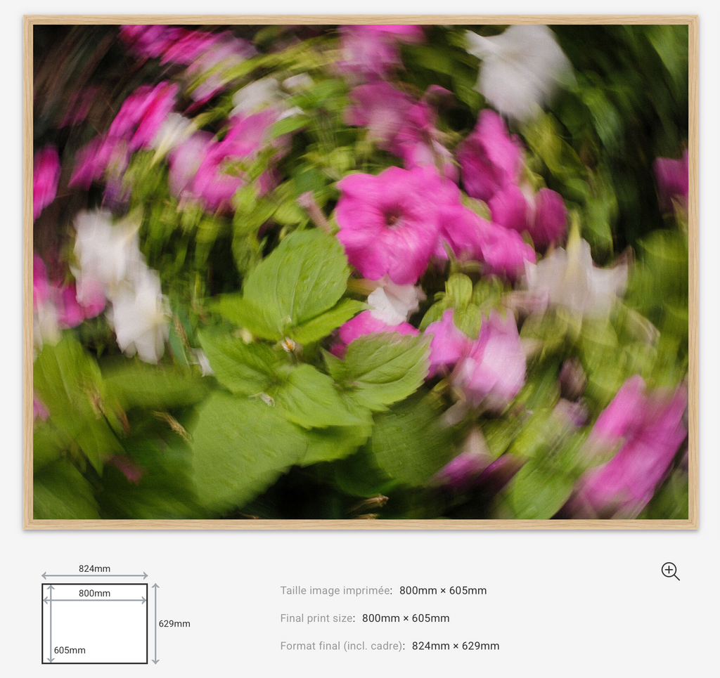 Floral Motion Limited Edition — 100VIsion