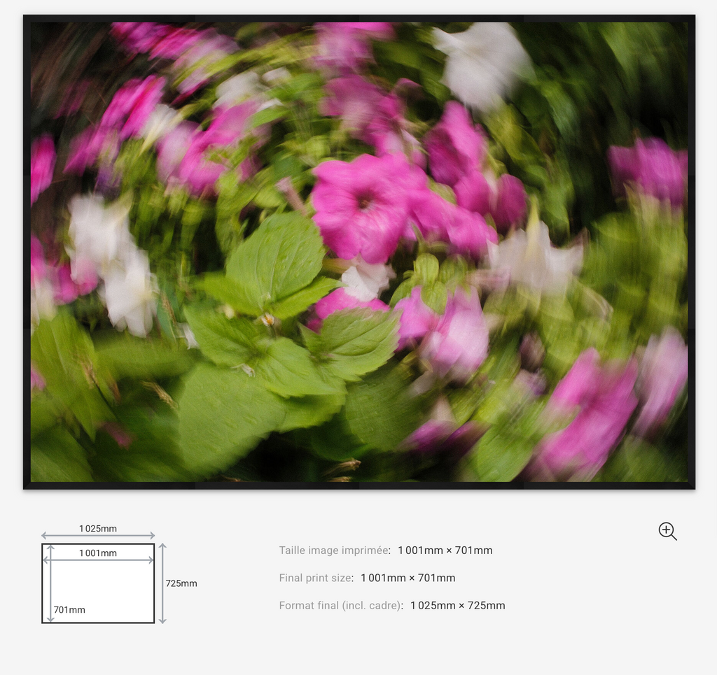 Floral Motion Limited Edition — 100VIsion