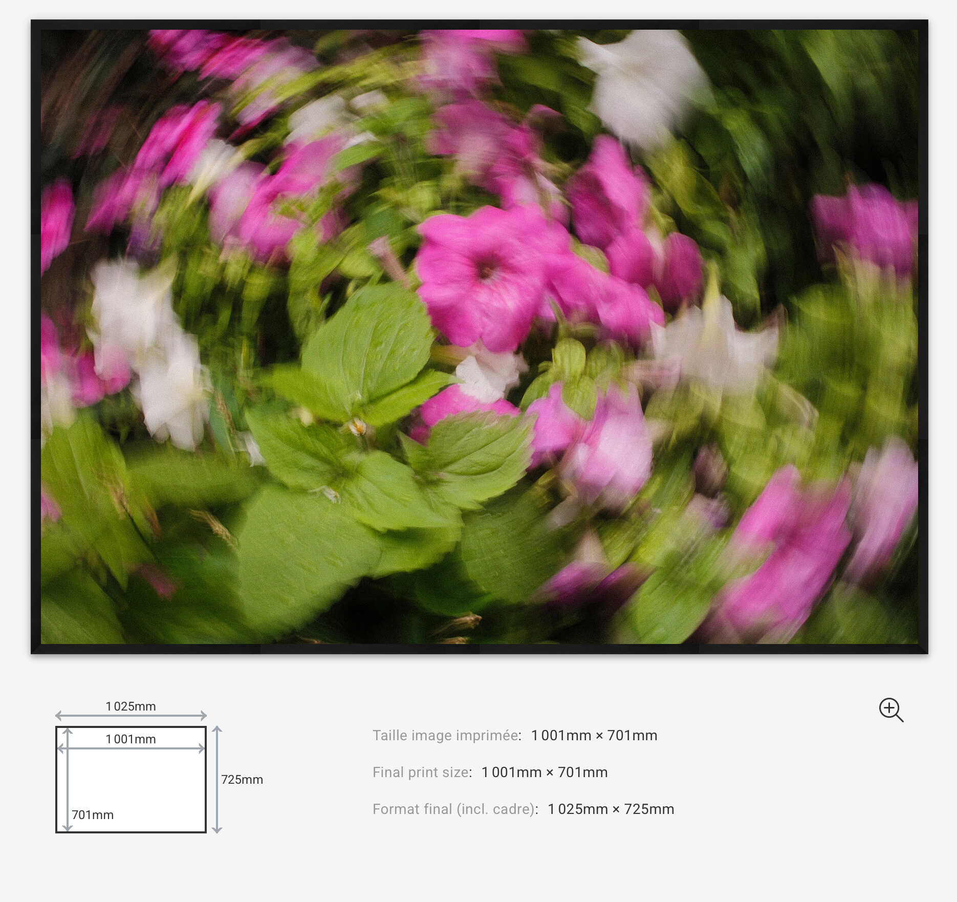 Floral Motion Limited Edition — 100VIsion