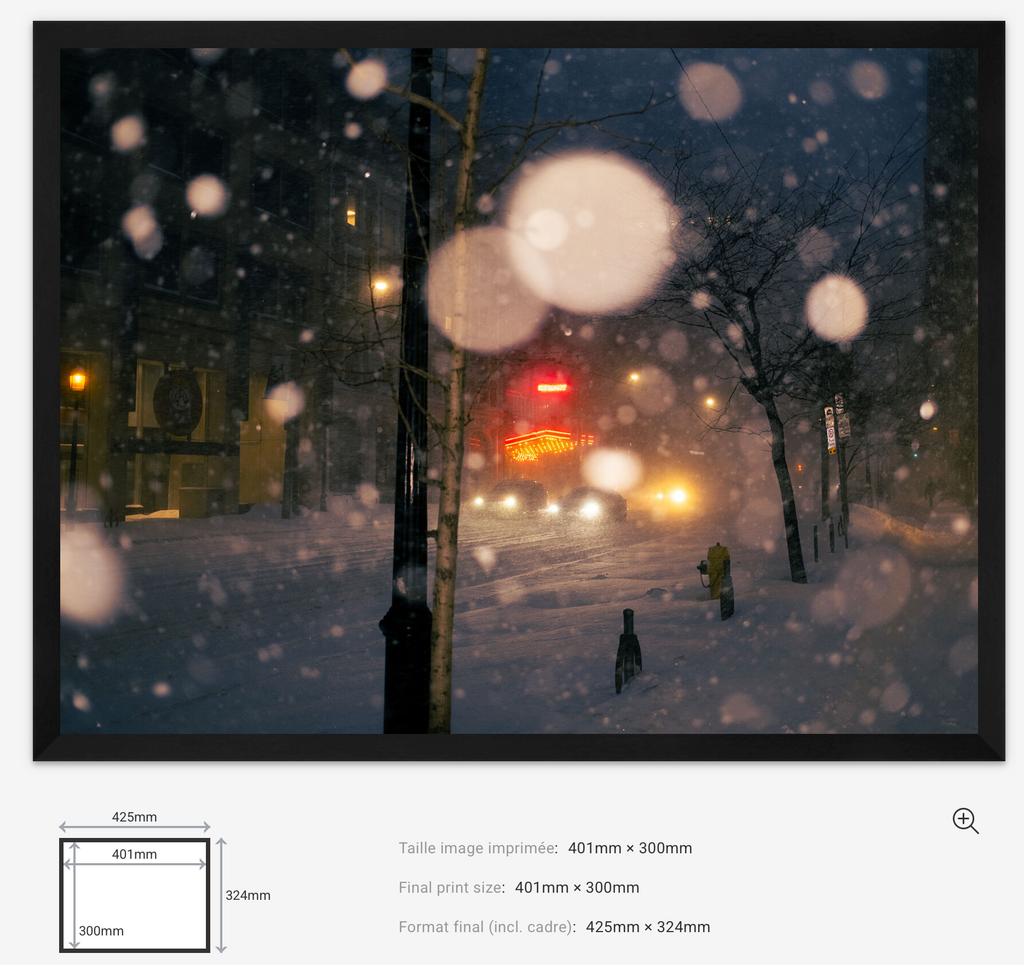 Snowfall Lights Limited Edition — 100VIsion
