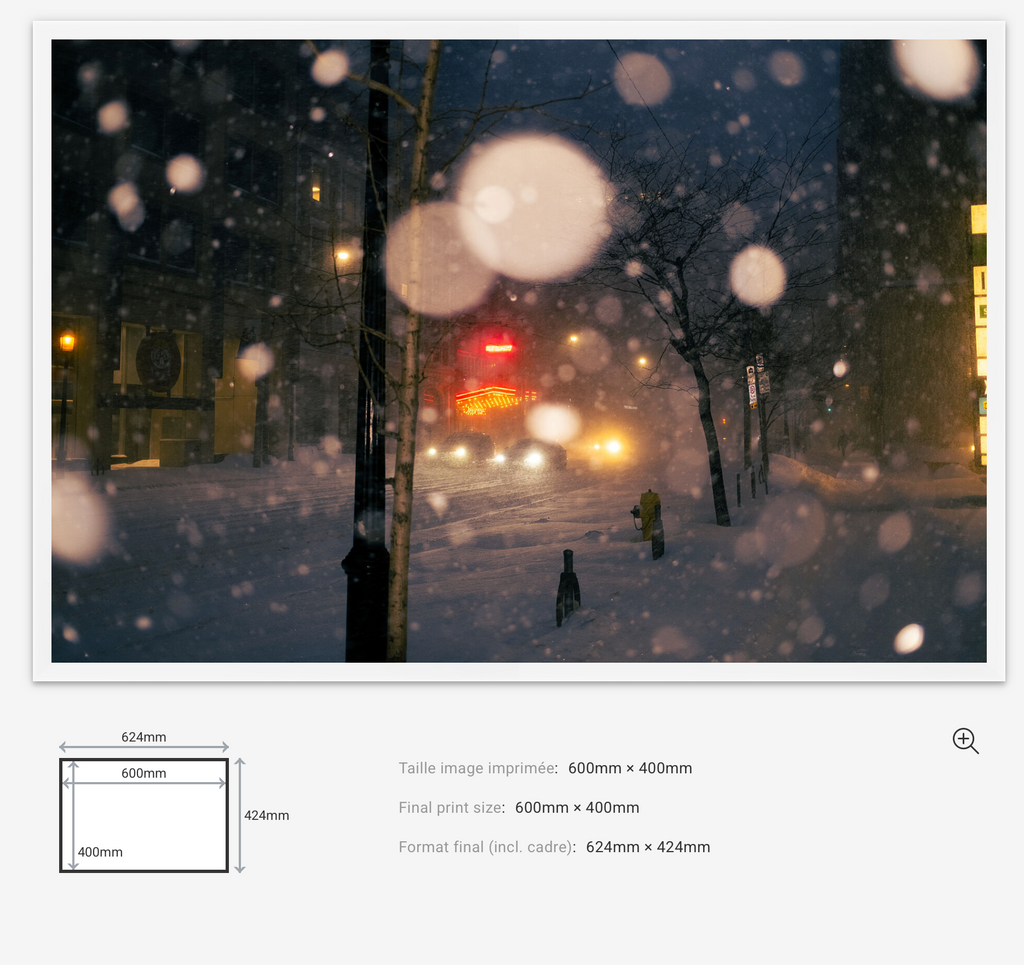 Snowfall Lights Limited Edition — 100VIsion