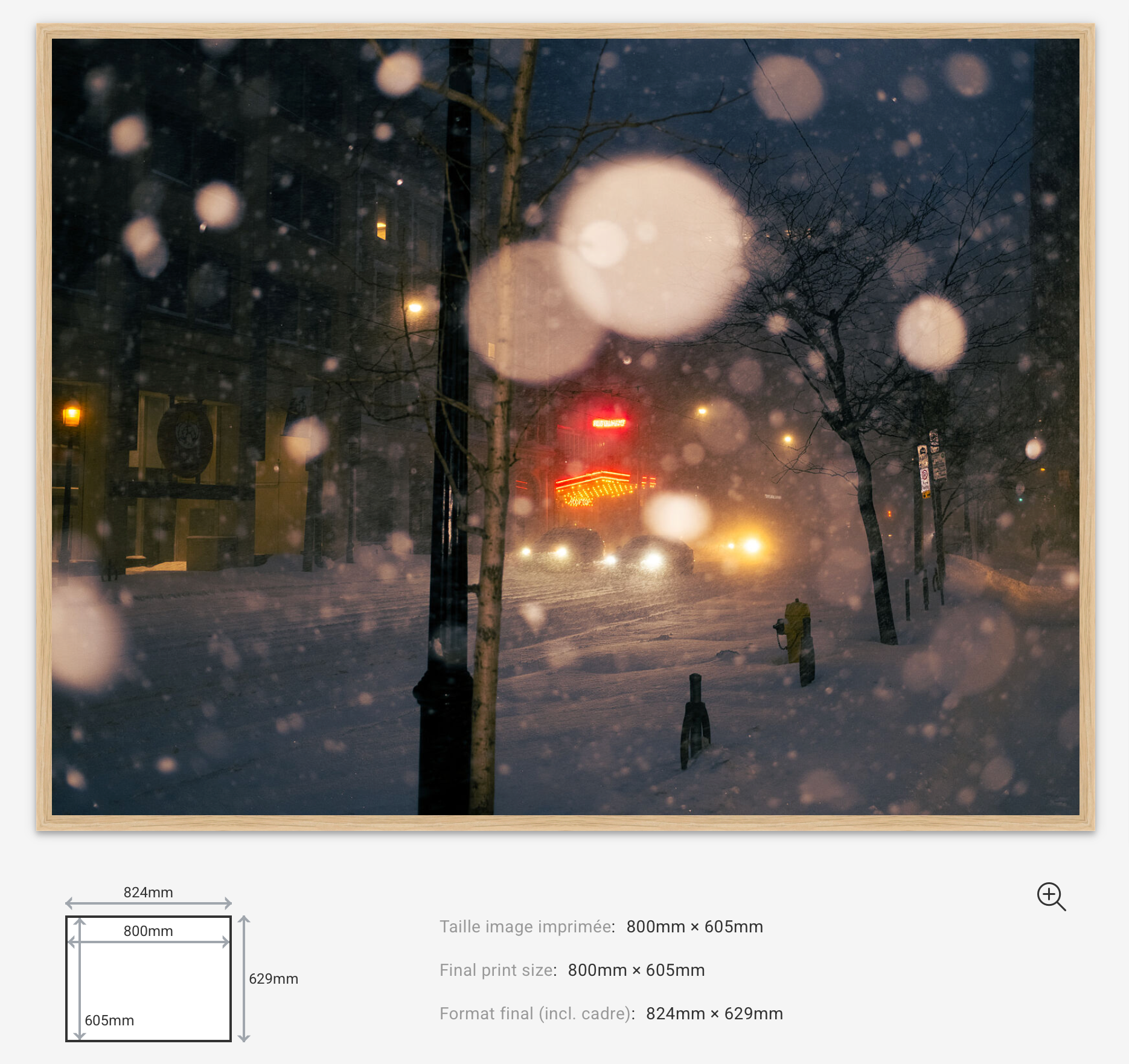 Snowfall Lights Limited Edition — 100VIsion