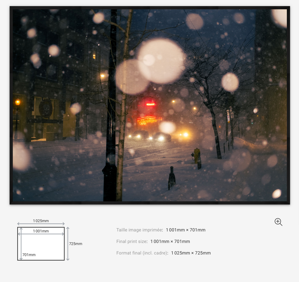 Snowfall Lights Limited Edition — 100VIsion