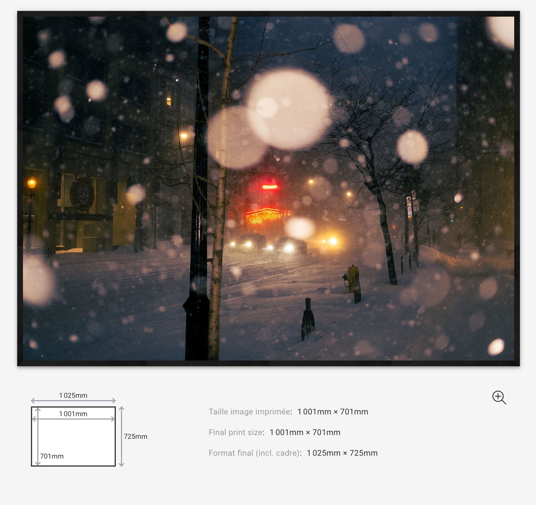 Snowfall Lights Limited Edition — 100VIsion
