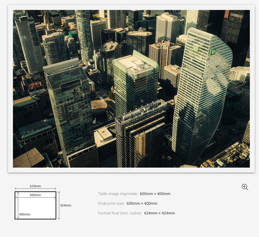 Above the Grid — Limited Edition