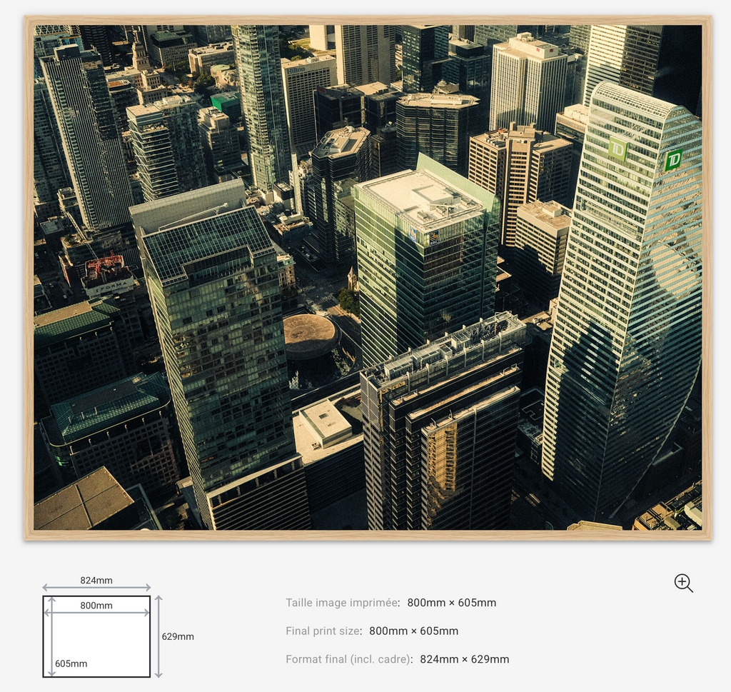 Above the Grid — Limited Edition