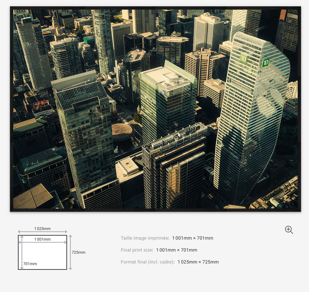 Above the Grid — Limited Edition